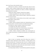 Nekilnojamojo turto valdymas 6 puslapis