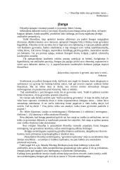 Nemirtingumas 1 puslapis