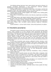 Nepilnamečių nusikalstamumo prevencija 13 puslapis