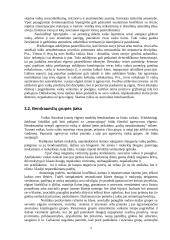 Nepilnamečių nusikalstamumo prevencija 5 puslapis