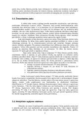 Nepilnamečių nusikalstamumo prevencija 6 puslapis