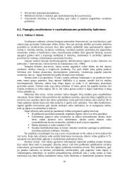 Nepilnamečių nusikalstamumo prevencija 10 puslapis