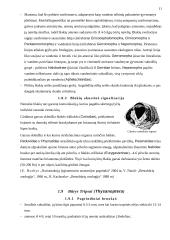 Nepilnos metamorfozės vabzdžiai 10 puslapis