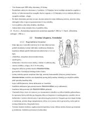 Nepilnos metamorfozės vabzdžiai 6 puslapis