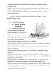 Nepilnos metamorfozės vabzdžiai 7 puslapis