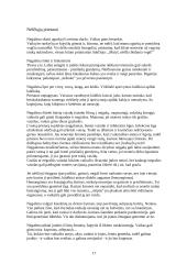 Nėštumas ir gimdymas 17 puslapis