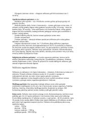 Nėštumas ir gimdymas 7 puslapis