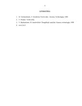 Neteisėtų veiksmų atskleidimas organizacijoje 13 puslapis