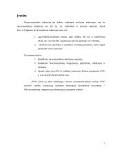 Nevyriausybinis sektorius: Lietuvos Respublikos atvejis 3 puslapis