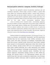 Nevyriausybinis sektorius: Lietuvos Respublikos atvejis 4 puslapis