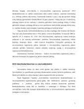 Nevyriausybinis sektorius: Lietuvos Respublikos atvejis 6 puslapis