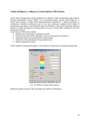 Nortel Networks PBX tinklo valdymo sistema 16 puslapis