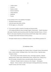 Norvegijos turizmas 7 puslapis