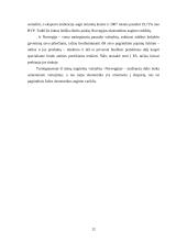 Norvegijos ekonominė analizė 12 puslapis