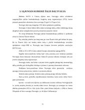 Norvegijos ekonominė analizė 13 puslapis