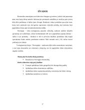 Norvegijos ekonominė analizė 17 puslapis