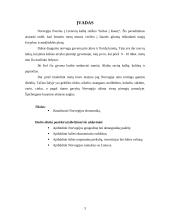 Norvegijos ekonominė analizė 3 puslapis