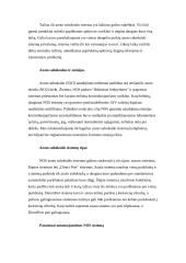 NOS - (Nitrous Oxidegen Systems) sistema 7 puslapis