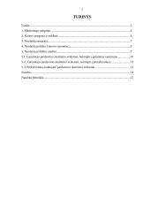 Nuolaidų politikos analizė 2 puslapis