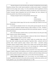 Nuolaidų politikos analizė 11 puslapis