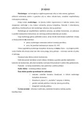 Nuolaidų politikos analizė 3 puslapis