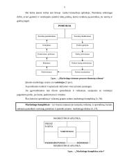 Nuolaidų politikos analizė 5 puslapis