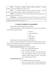 Nuolaidų politikos analizė 6 puslapis