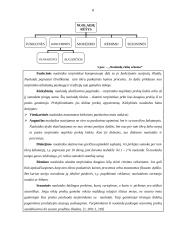 Nuolaidų politikos analizė 8 puslapis