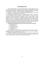 Nuosavybės vertybiniai popieriai 13 puslapis