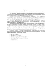 Nuosavybės vertybiniai popieriai 3 puslapis
