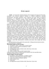 Nuosavybės vertybiniai popieriai 4 puslapis