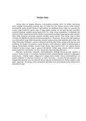 Nuosavybės vertybiniai popieriai 6 puslapis