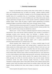 Ofšorinės zonos ir kompanijos 2 puslapis