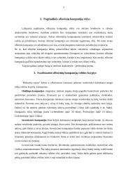 Ofšorinės zonos ir kompanijos 5 puslapis