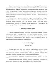 Ofšorinės zonos ir kompanijos 7 puslapis