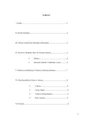 Oksidento ir Oriento priešprieša Europos diskurso kontekste 2 puslapis