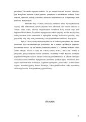 Oksidento ir Oriento priešprieša Europos diskurso kontekste 11 puslapis