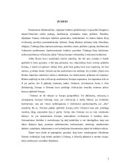 Oksidento ir Oriento priešprieša Europos diskurso kontekste 3 puslapis