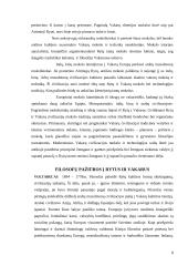 Oksidento ir Oriento priešprieša Europos diskurso kontekste 8 puslapis