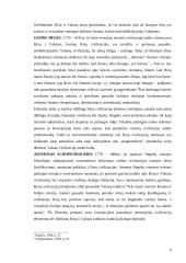 Oksidento ir Oriento priešprieša Europos diskurso kontekste 9 puslapis