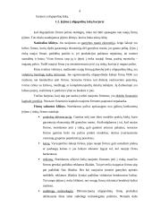 Oligopolija ir rinka 3 puslapis