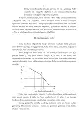 Oligopolija ir rinka 4 puslapis