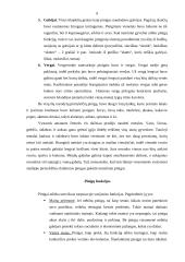 Oligopolija ir rinka 8 puslapis