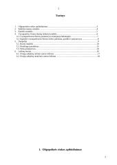 Oligopolinė rinka 2 puslapis