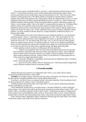 Oligopolinė rinka 5 puslapis