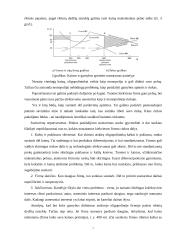 Oligopolinė rinka Lietuvos pavyzdžiu 7 puslapis