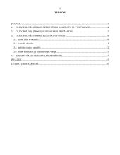 Oligopolinės įmonės elgsena 2 puslapis