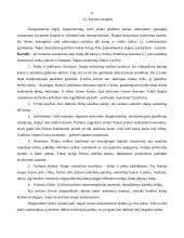 Oligopolinės įmonės elgsena 11 puslapis