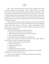 Oligopolinės įmonės elgsena 3 puslapis