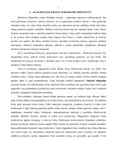 Oligopolinės įmonės elgsena 7 puslapis